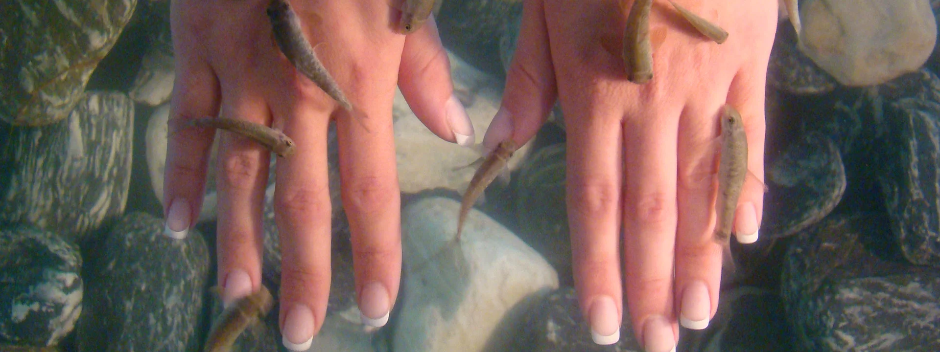 Fischbehandlung an den Händen im Wasserbecken im Knabberspa Essen
