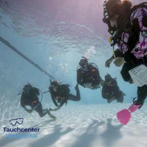 Teilnehmer eines Tauchkurses im Pool des Tauchcenters Wuppertal beim gemeinsamen Tauchgang unter Anleitung eines Tauchlehrers