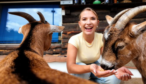 Auszeit mit Tieren für Erwachsene