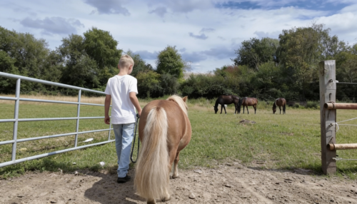 Pony-Erlebnis für bis zu 2 Kinder mit personalisiertem Schlüsselanhänger​
