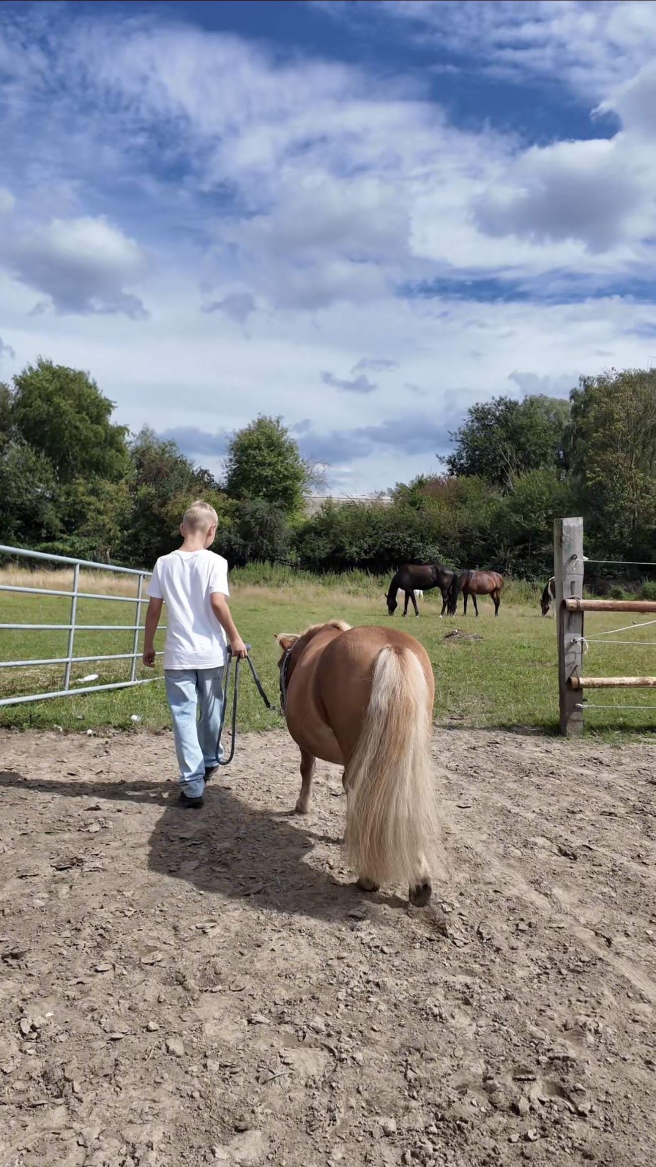 Pony-Erlebnis für bis zu 2 Kinder mit personalisiertem Schlüsselanhänger – Bild 2