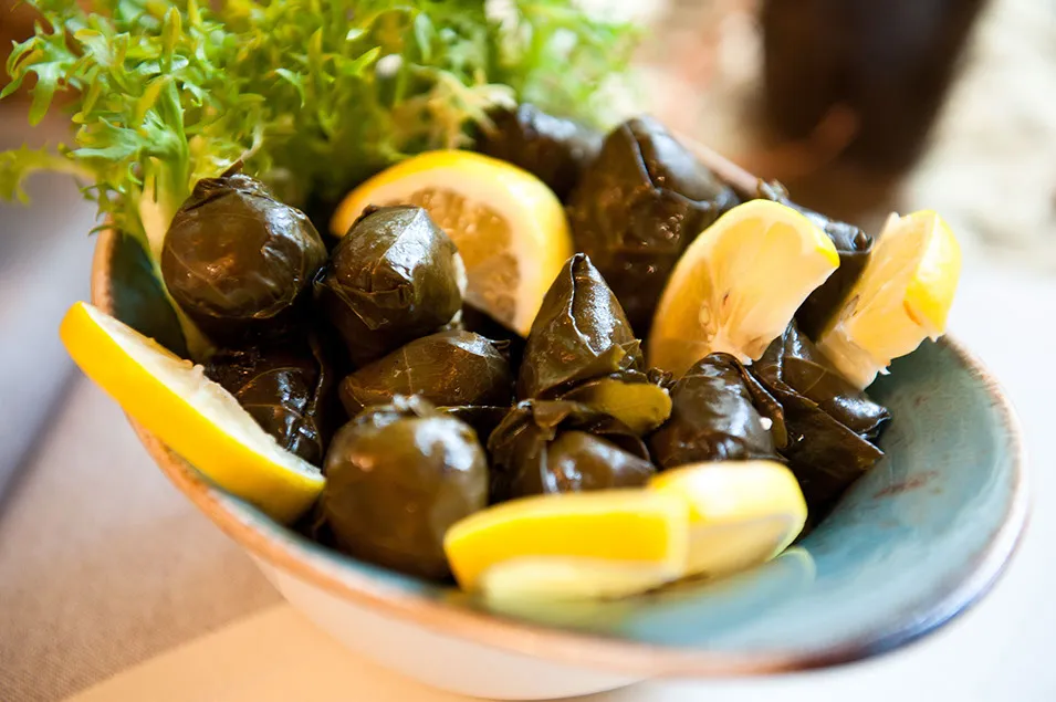 Dolmeh – gefüllte Weinblätter mit Zitronenscheiben und Salatbeilage, serviert als persische Vorspeise im Shiraz Restaurant Darmstadt