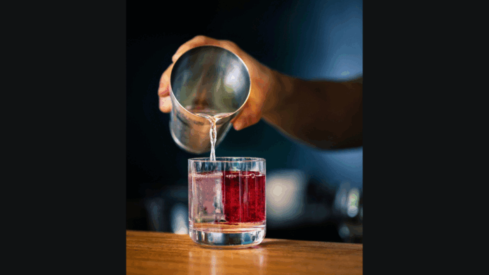 Cocktailkurs für bis zu 4 Personen – Bild 2