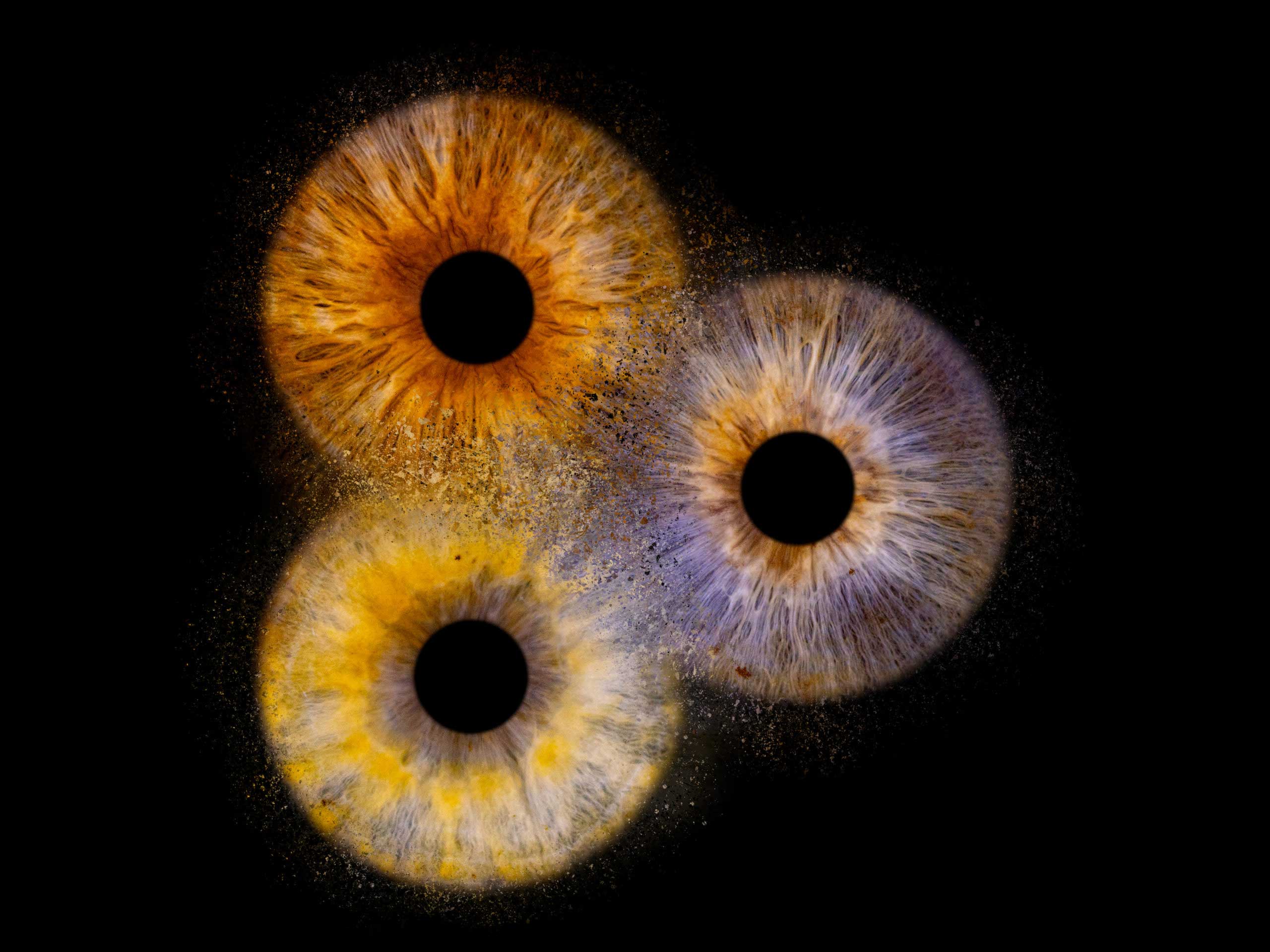 Iris Shooting mit Ausdruck – Bild 5