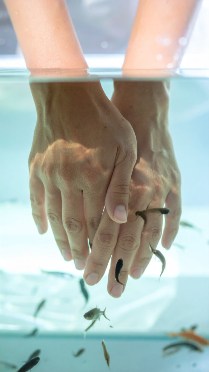 Fish Spa für Hand- oder Fußpflege – Bild 2