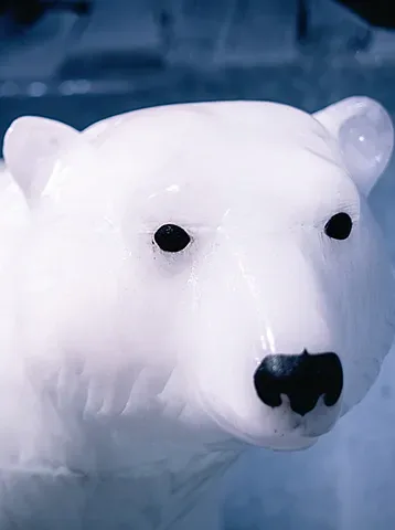 Eintritt Icebar mit Getränken – Bild 5