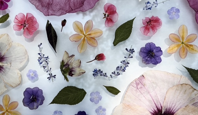 Floristik-Workshop – Bild 6