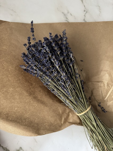 Floristik-Workshop – Bild 8