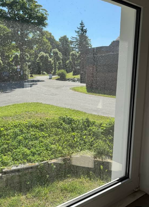 Fensterreinigung für 10 Fenster – Bild 5