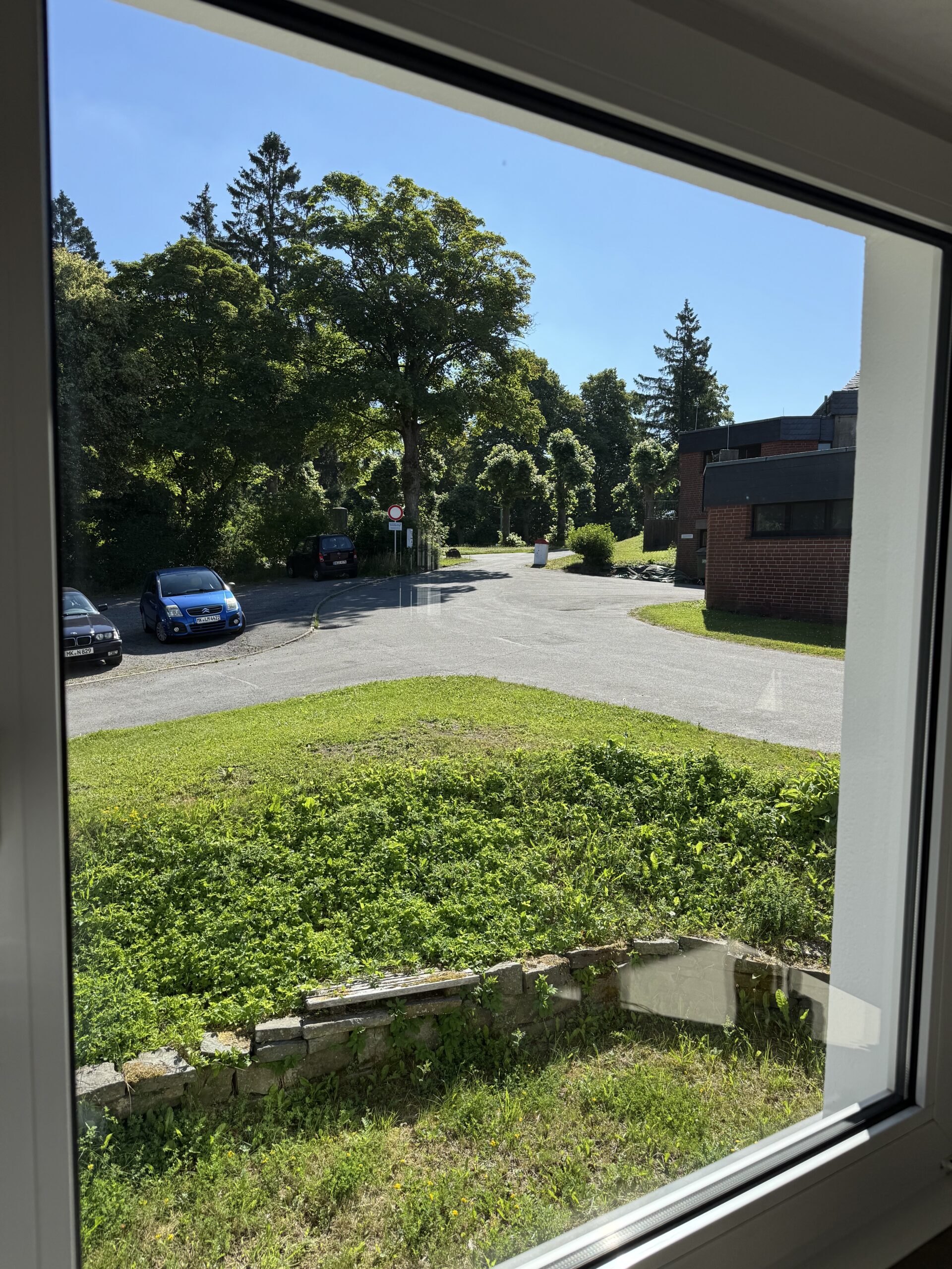 Fensterreinigung für 10 Fenster – Bild 6