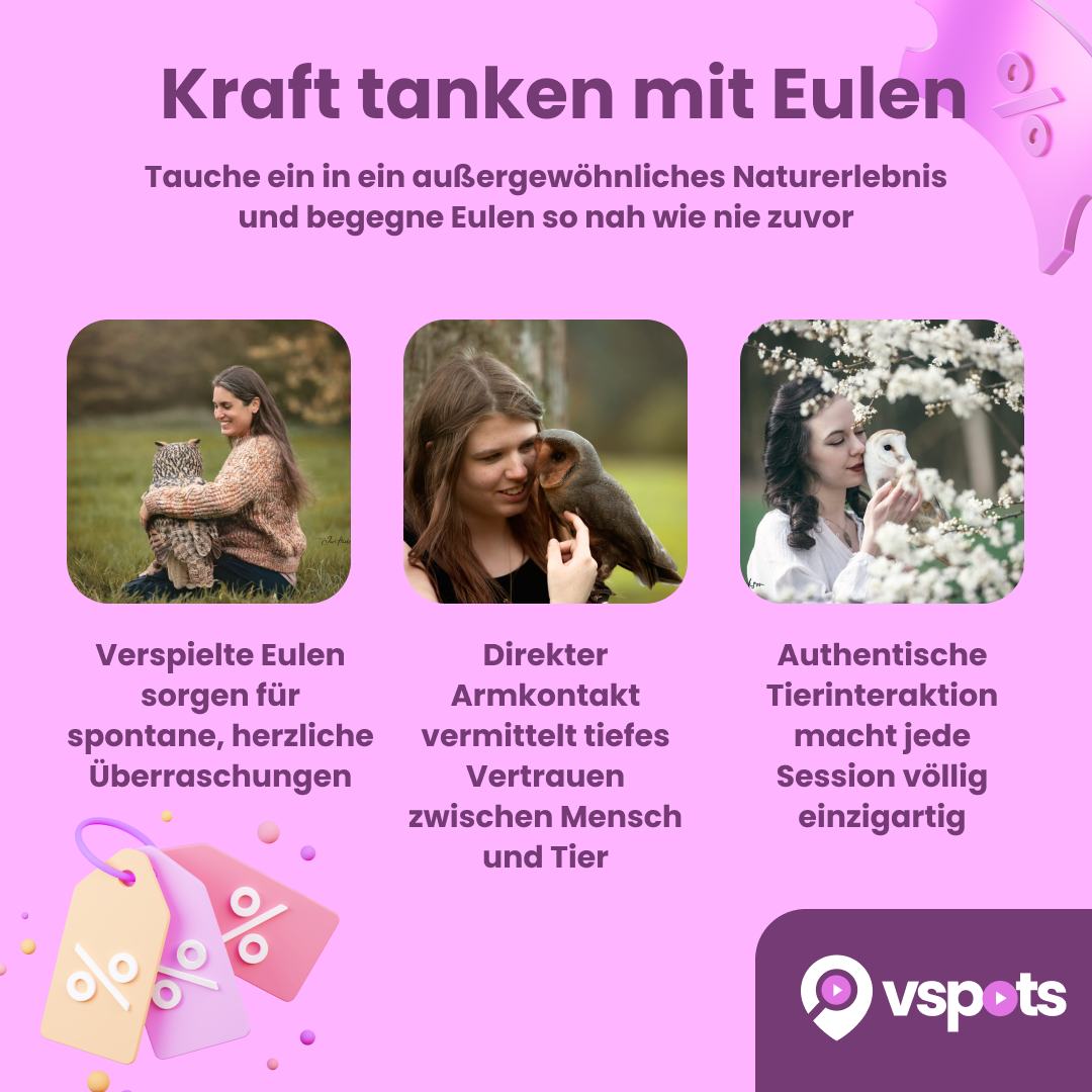 Kraft tanken mit Eulen – Bild 9