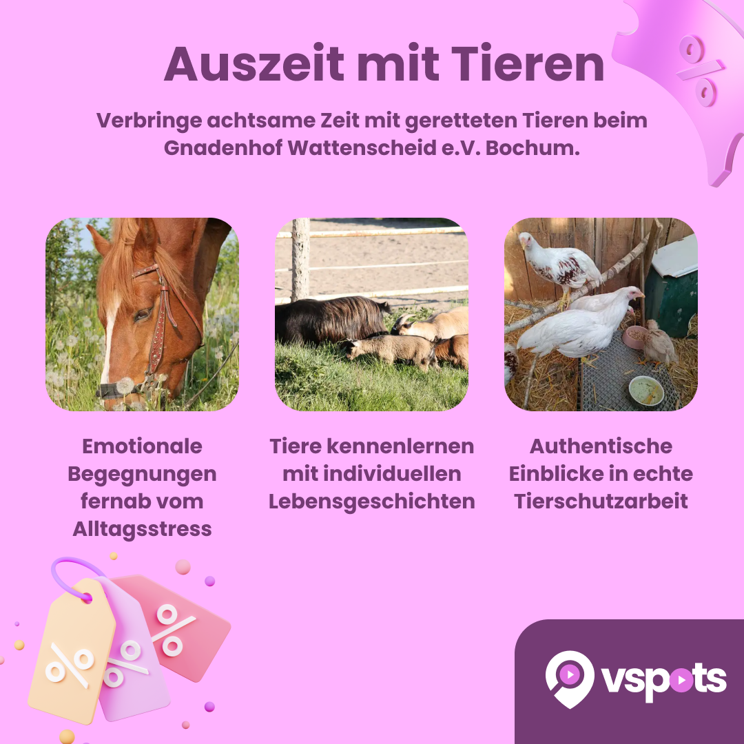 Auszeit mit Tieren für bis zu 2 Erwachsene – Bild 5