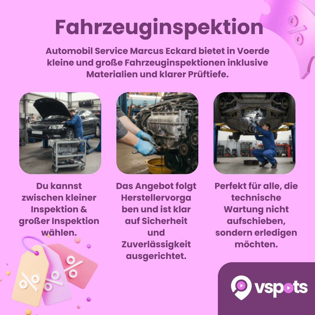 Fahrzeuginspektion – Bild 6