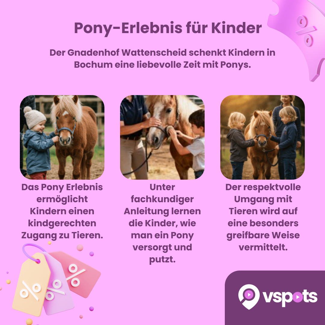 Pony-Erlebnis für bis zu 2 Kinder mit personalisiertem Schlüsselanhänger​ – Bild 7
