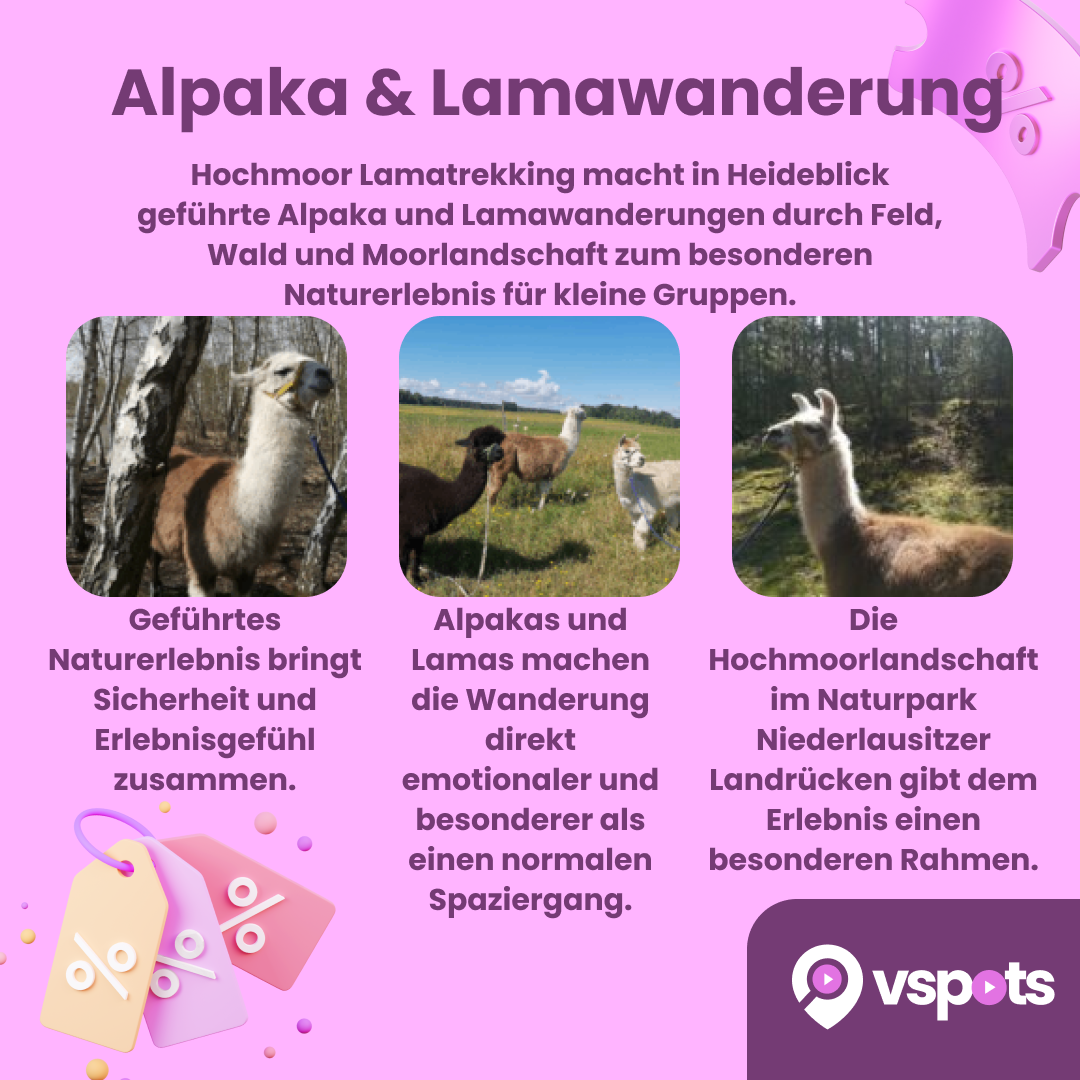 Alpaka und Lamawanderung für 3 Personen – Bild 9