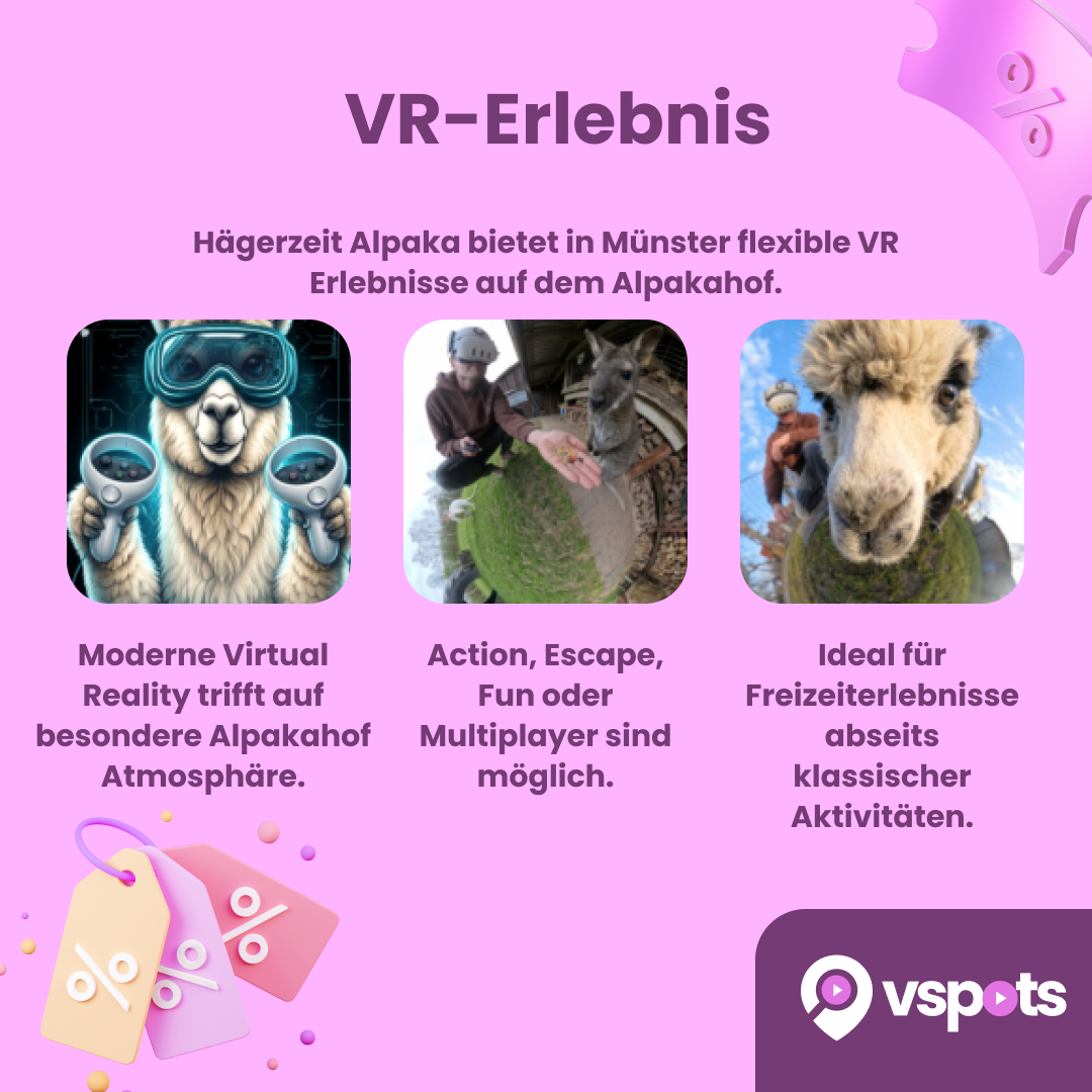 VR-Erlebnis für 2 Personen – Bild 5