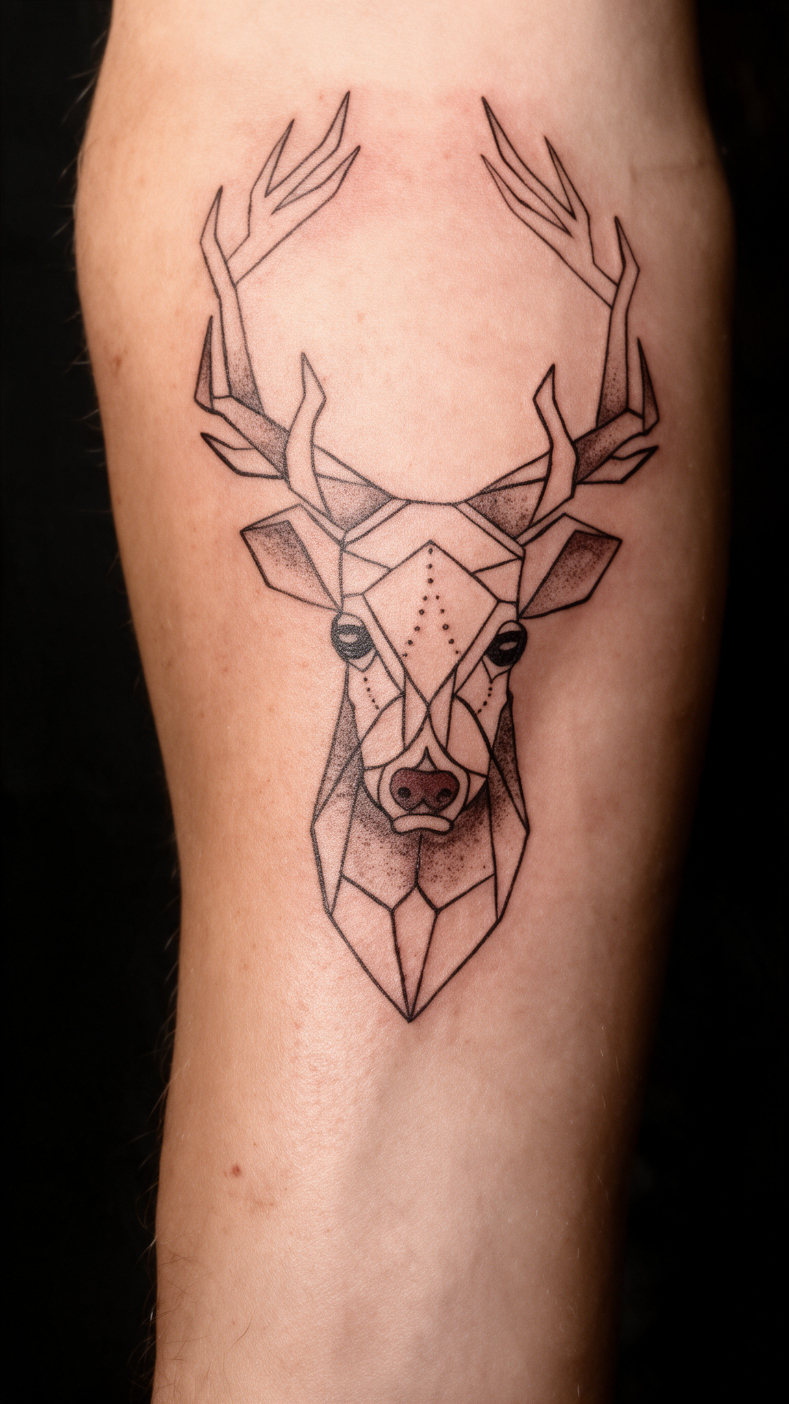 Fine Line Tattoo bei Eljo Aesthetics in Unna mit geometrischem Hirschmotiv als detailreiches Beispiel für ein individuelles Tattoo Design