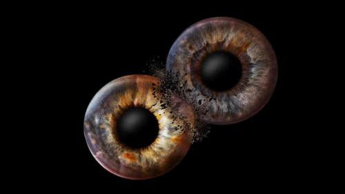 Zwei detailreiche Iris Fotografien von Fotostudio Daniels in Dortmund als künstlerisches Doppelmotiv mit intensiven Farben auf schwarzem Hintergrund