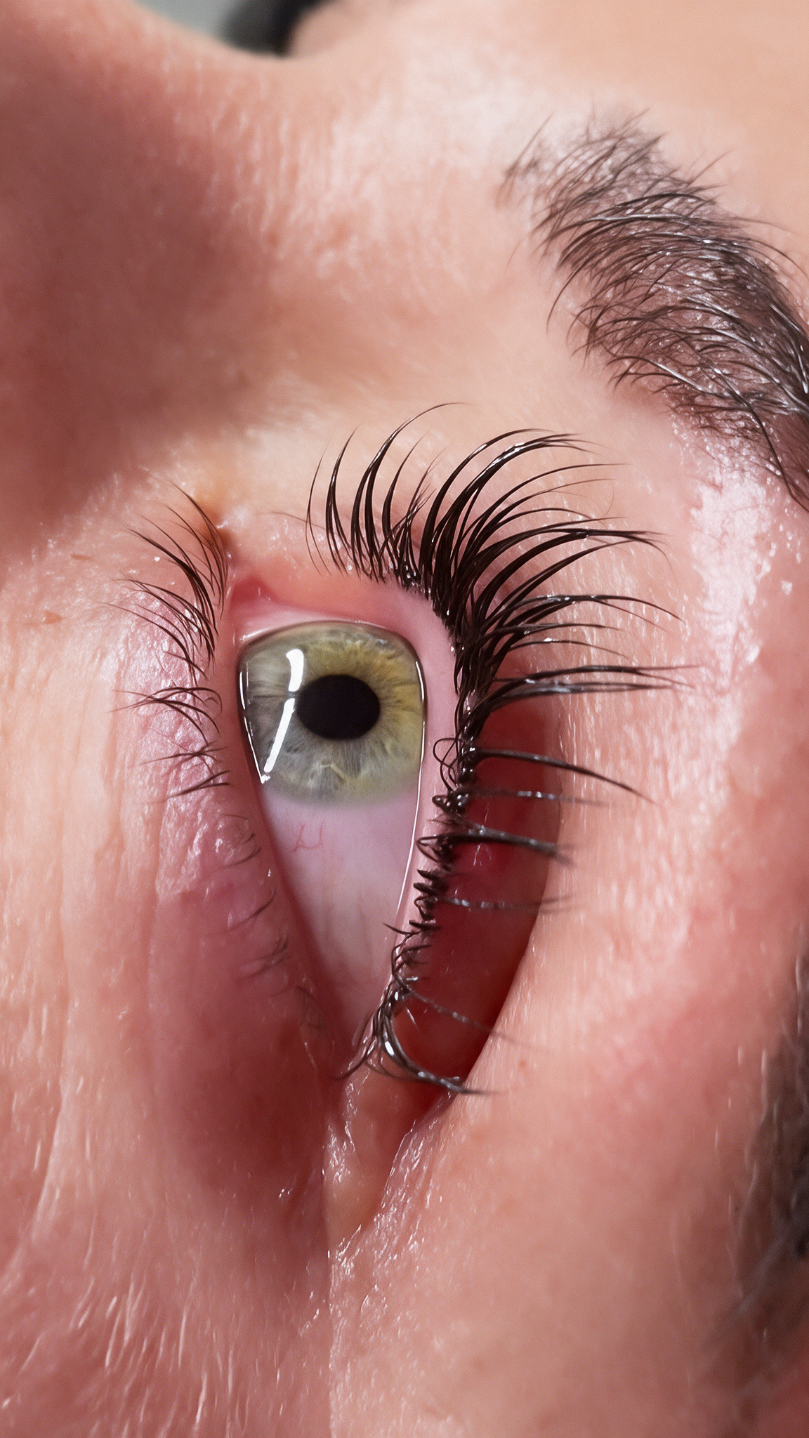Korean Lashlifting – Bild 2