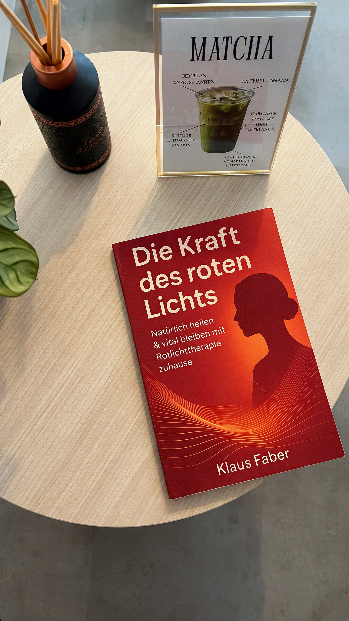 2× Red Light Ganzkörperanwendung – Bild 4
